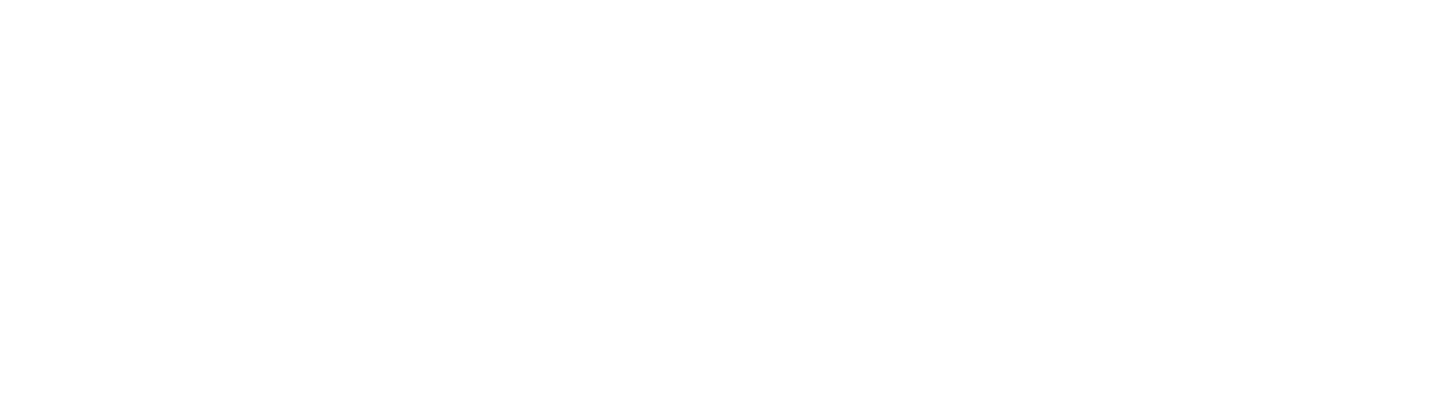 Wasa Express